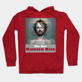 Damien Rice The Box Hoodie